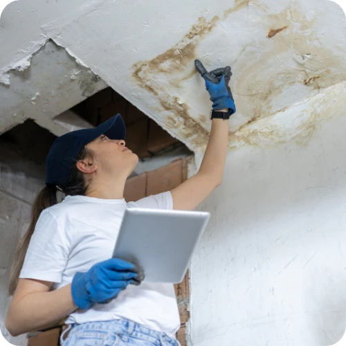 Inspection-and-Detection - HPRE+D Website