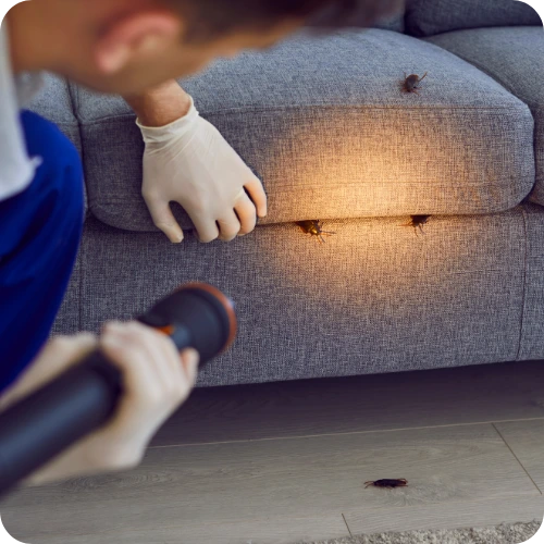 Pest-Control-Services - HPRE+D Website