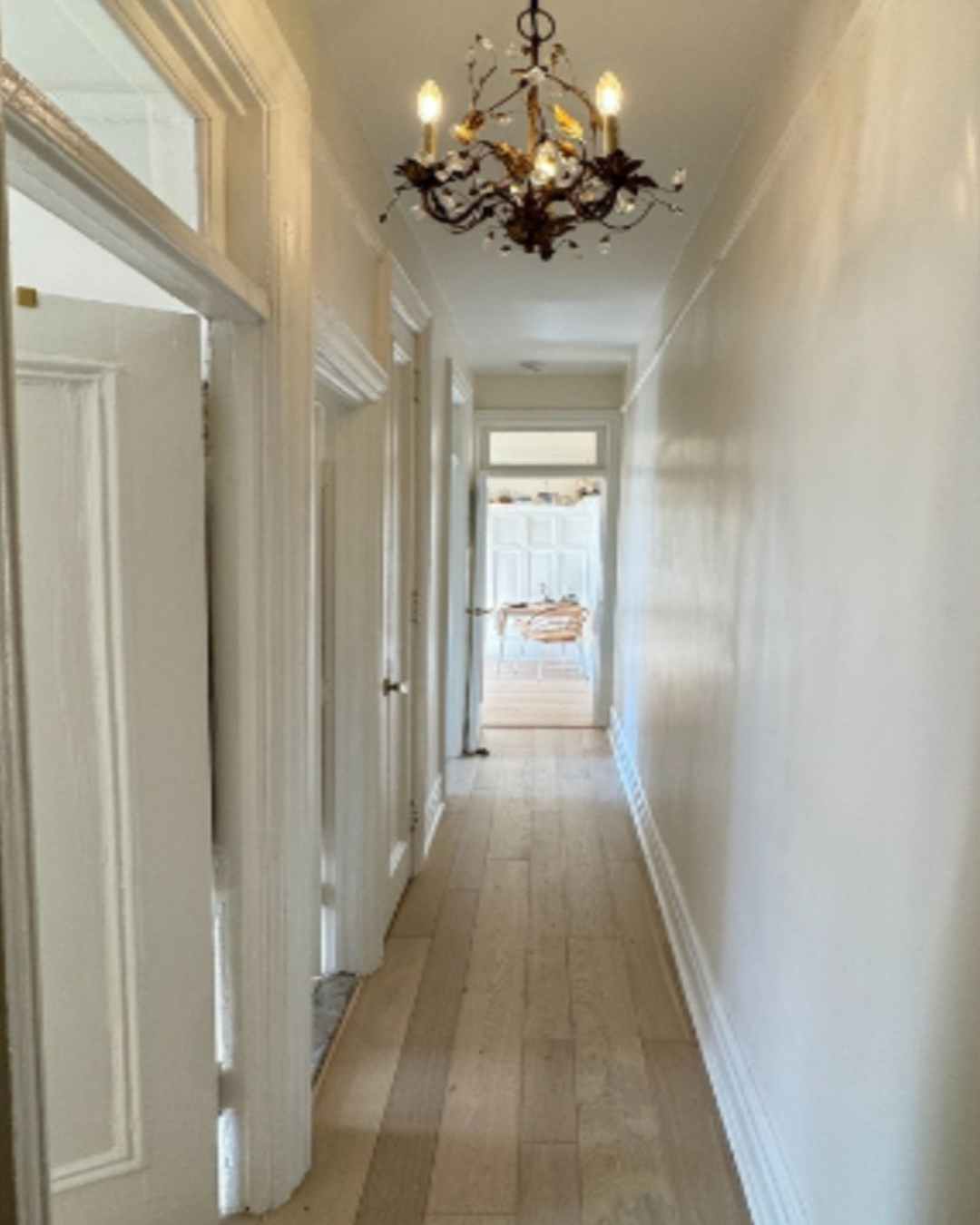 CellarBasement Renovation