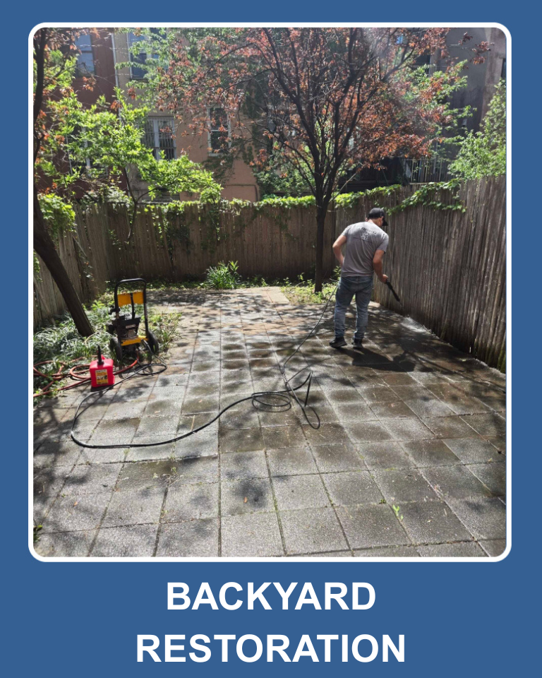 Backyard restoration (2)