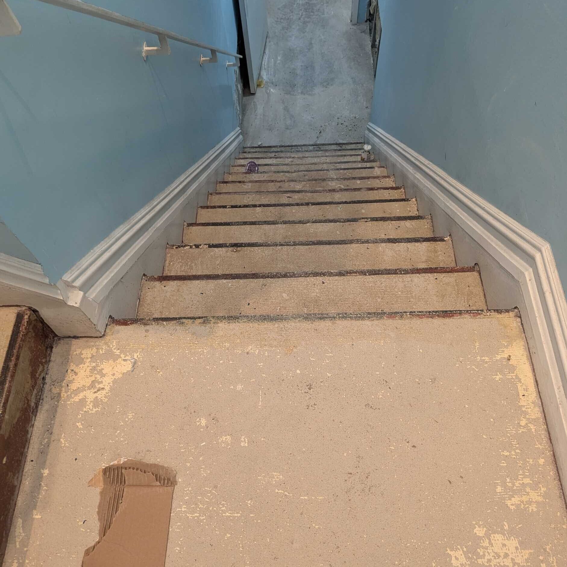 Cellar/Basement Renovation